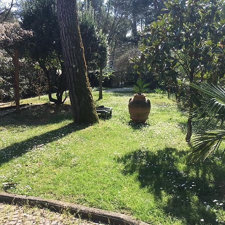 פירנצה Old Town In The Green: Federico'S Apartment. מראה חיצוני תמונה